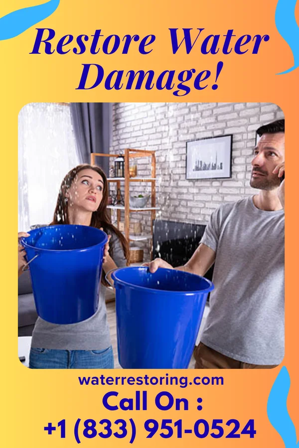 water restoration Capital Extraction Group Dormont