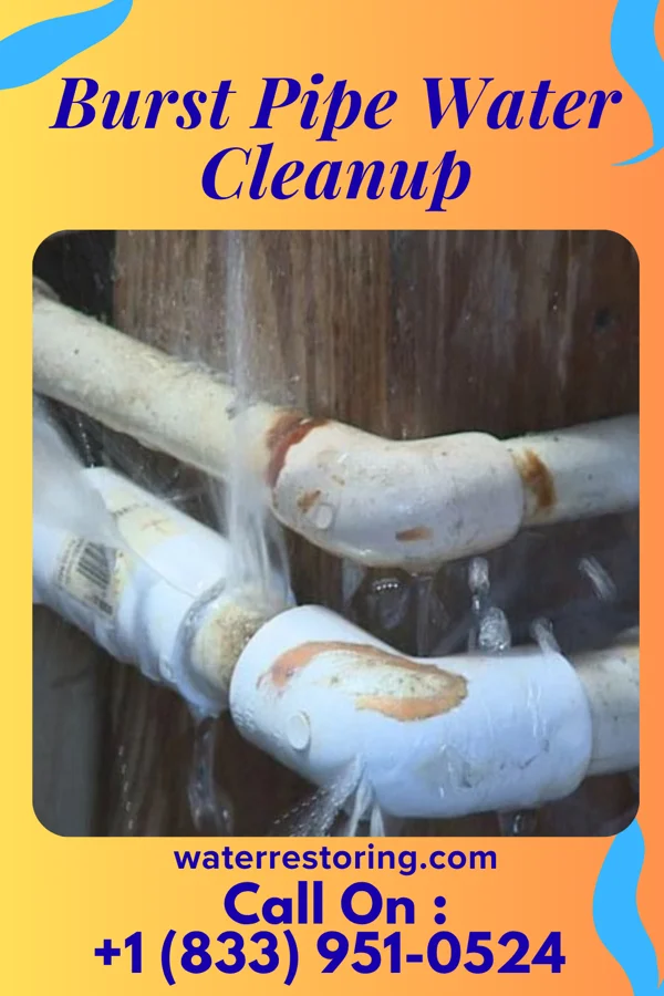 Burst Pipe Water Cleanup in Dormont, PA