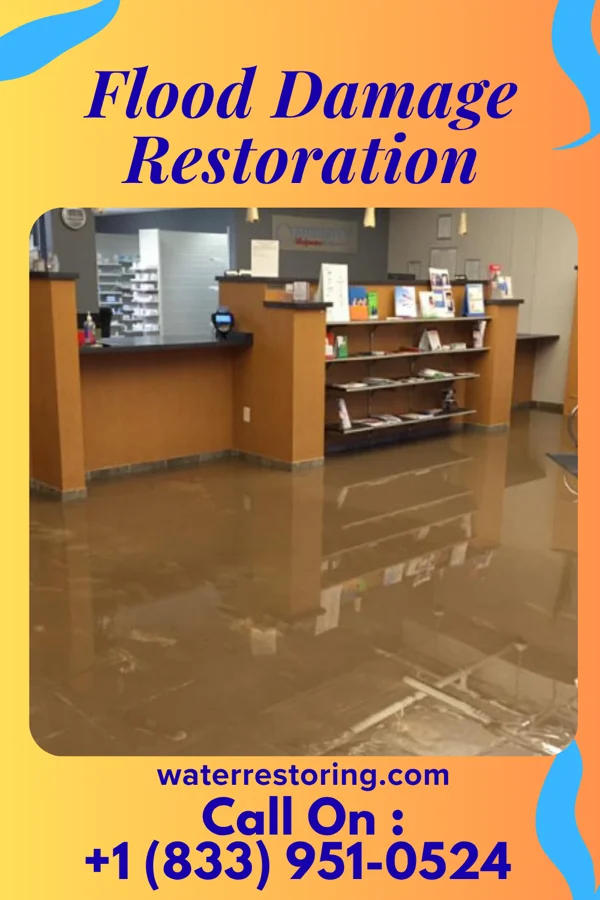 Flood Damage Restoration in Dormont, PA