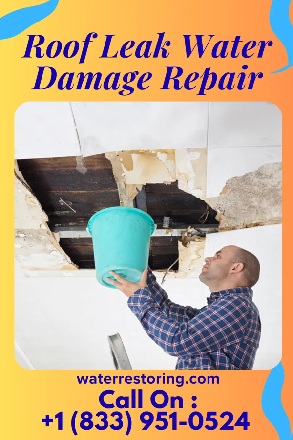 Roof Leak Water Damage Repair in Dormont, PA