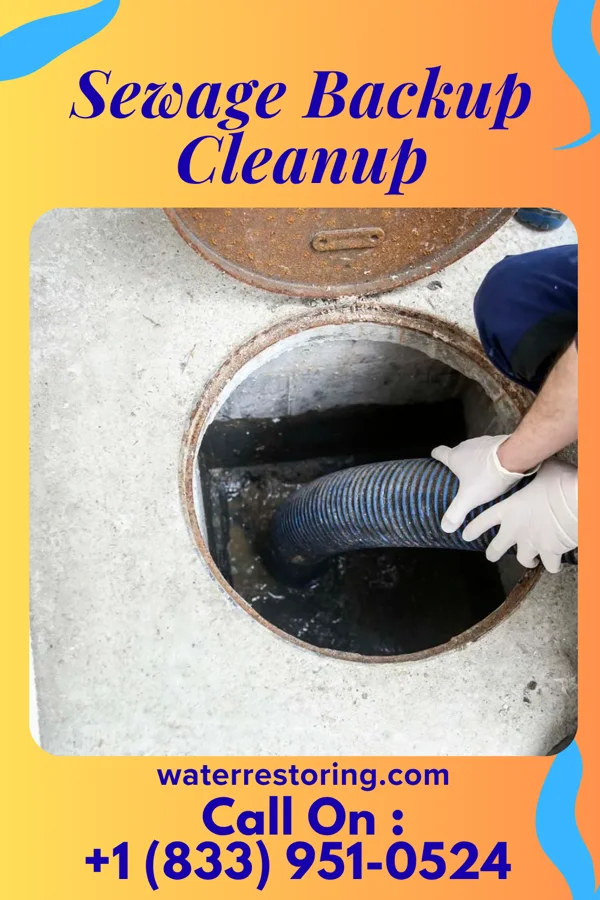 Sewage Backup Cleanup in Dormont, PA