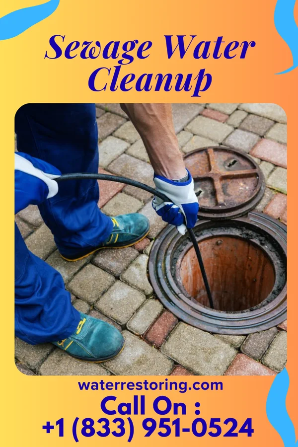 Sewage Water Cleanup in Dormont, PA