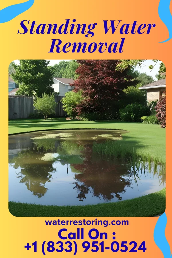Standing Water Removal in Dormont, PA